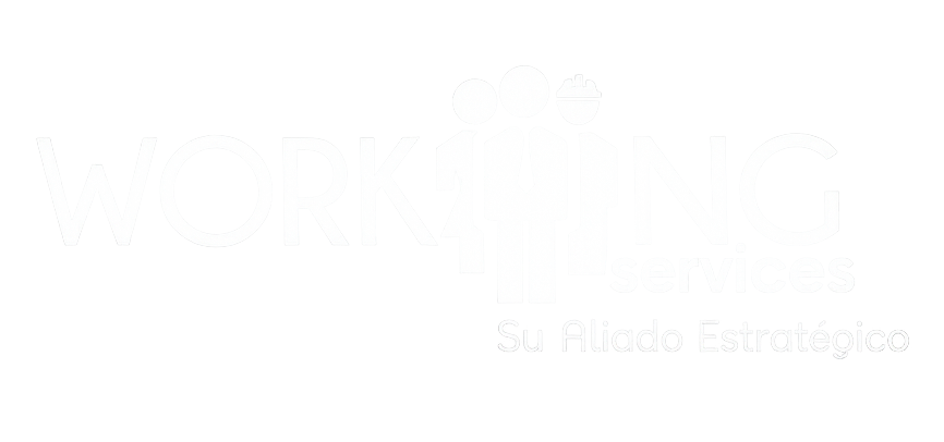 working services s.a.s